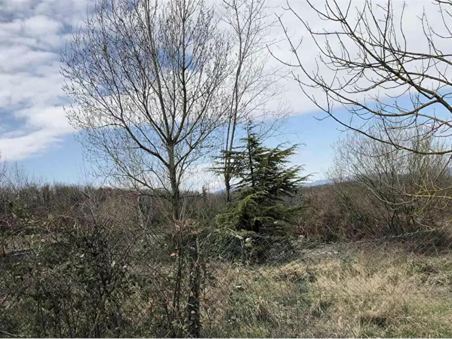 Immagine 6 di Terreno edificabile in vendita  in Località Boffalora  a Gazzola