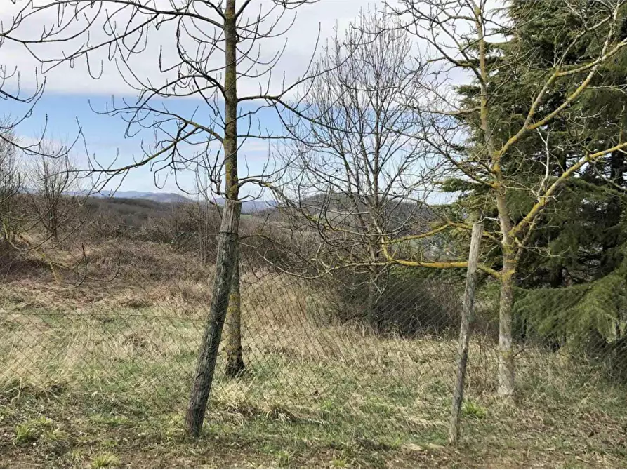 Immagine 8 di Terreno edificabile in vendita  in Località Boffalora  a Gazzola