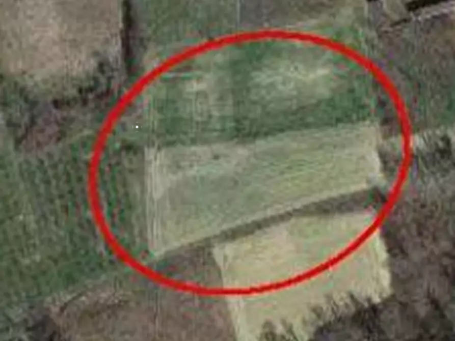 Immagine 1 di Terreno agricolo in vendita  in Località Pratomorone a Tigliole