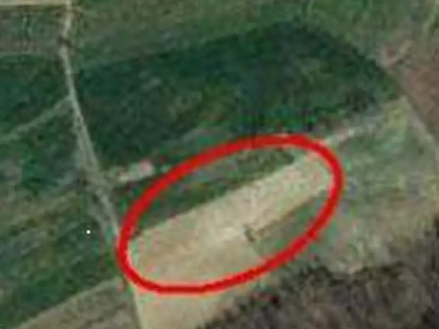 Immagine 2 di Terreno agricolo in vendita  in Località Pratomorone a Tigliole