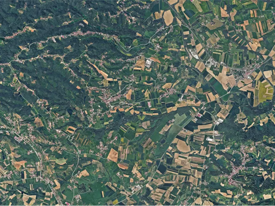 Immagine 5 di Terreno agricolo in vendita  in Località Pratomorone a Tigliole