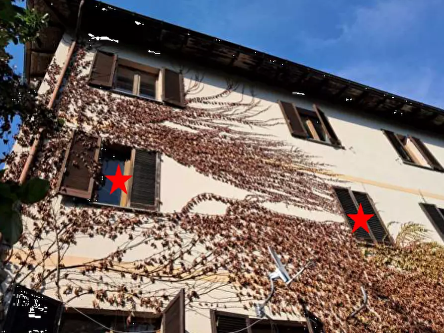 Immagine 4 di Appartamento in vendita  in Frazione Cascine a Zavattarello