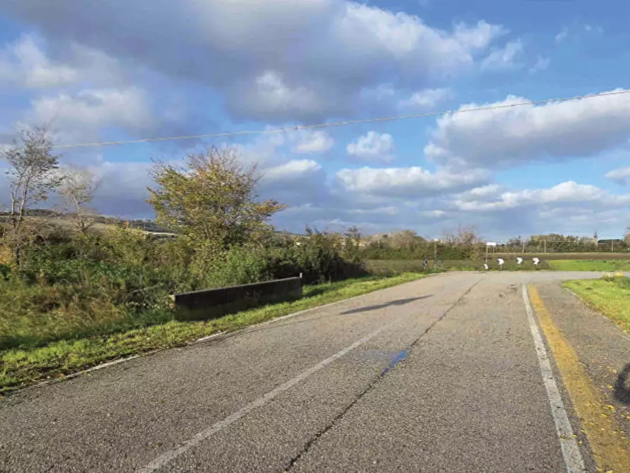 Immagine 2 di Terreno agricolo in vendita  in Via Genova a Mondolfo