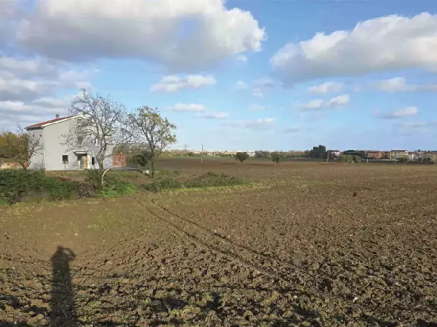 Immagine 3 di Terreno agricolo in vendita  in Viale Europa  a Mondolfo