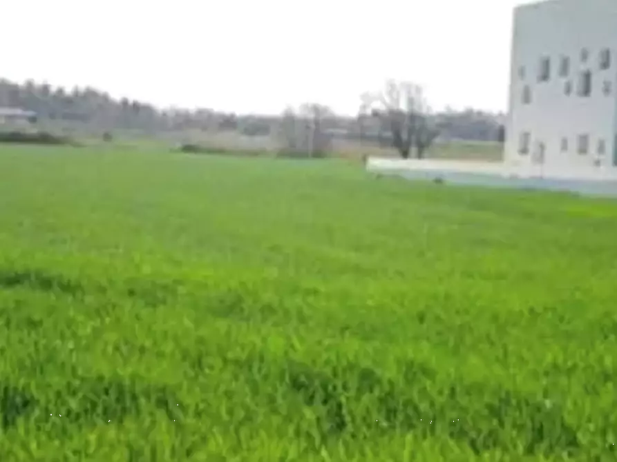 Immagine 2 di Terreno edificabile in vendita  in Viale Europa a Mondolfo