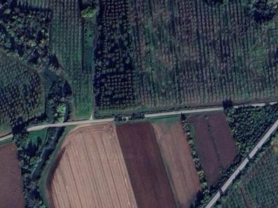 Immagine 2 di Terreno agricolo in vendita  in SP95 a Varmo