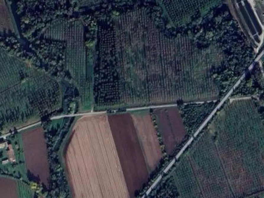 Immagine 3 di Terreno agricolo in vendita  in SP95 a Varmo
