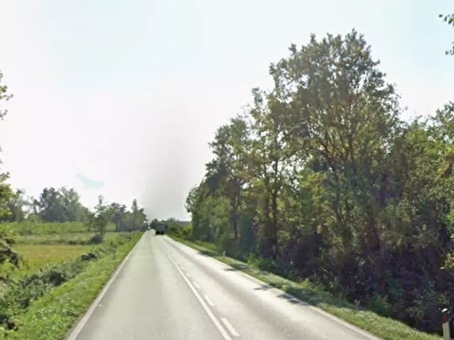 Immagine 9 di Terreno agricolo in vendita  in SP95 a Varmo
