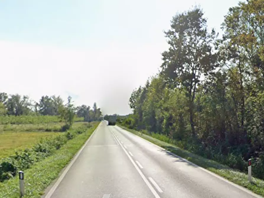 Immagine 10 di Terreno agricolo in vendita  in SP95 a Varmo