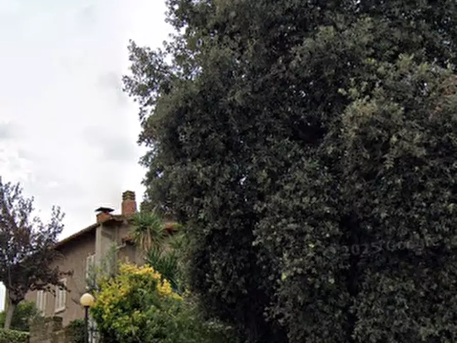 Immagine 9 di Appartamento in vendita  in Strada Provinciale 159 delle Collacchie  a Grosseto