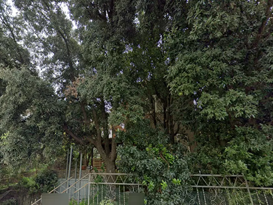 Immagine 5 di Appartamento in vendita  in Strada Provinciale 159 delle Collacchie  a Grosseto