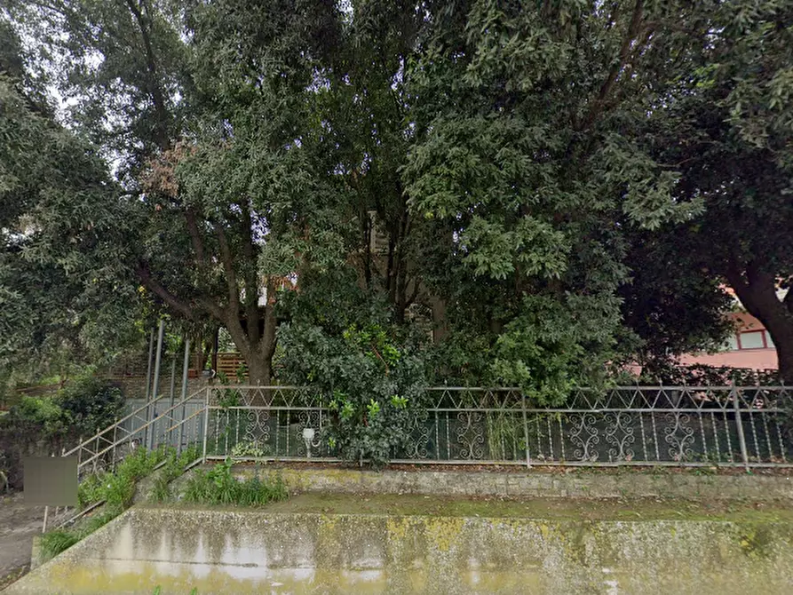 Immagine 15 di Appartamento in vendita  in Strada Provinciale 159 delle Collacchie  a Grosseto