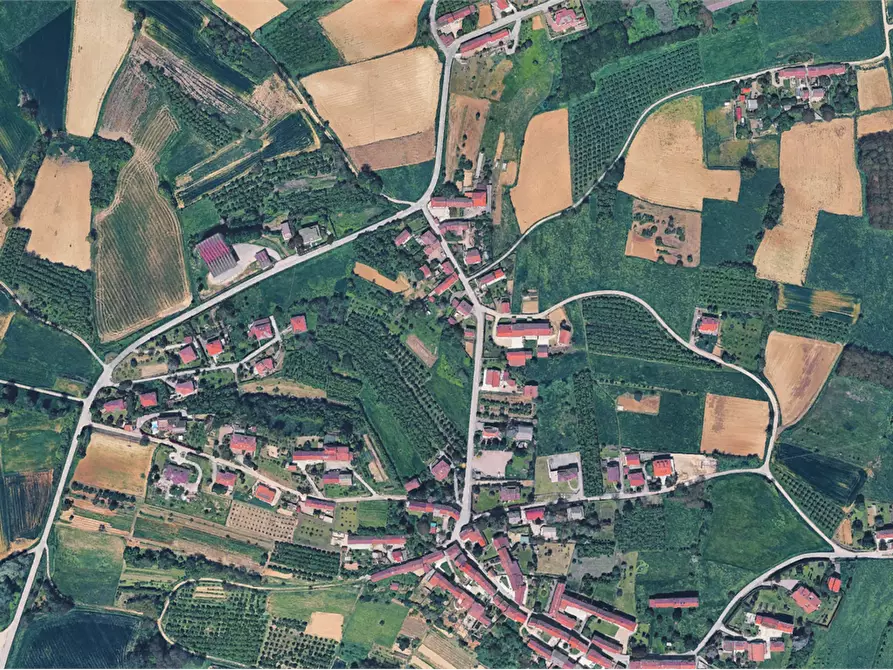 Immagine 4 di Terreno agricolo in vendita  in Via Lungardo a Belluno