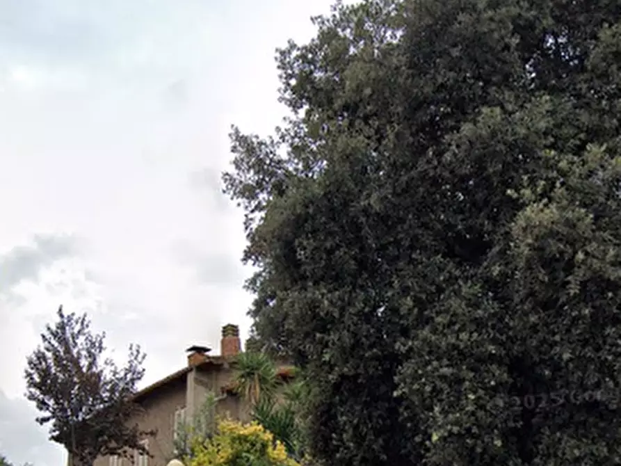 Immagine 21 di Appartamento in vendita  in Strada Provinciale 159 delle Collacchie  a Grosseto