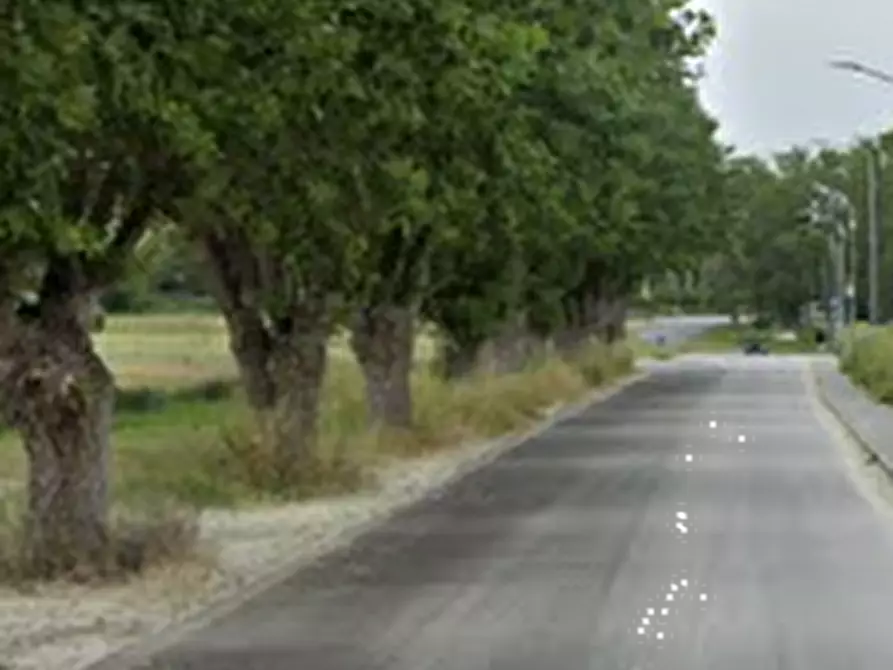 Immagine 3 di Appartamento in vendita  in Via Salvo D’Acquisto a Porto Recanati