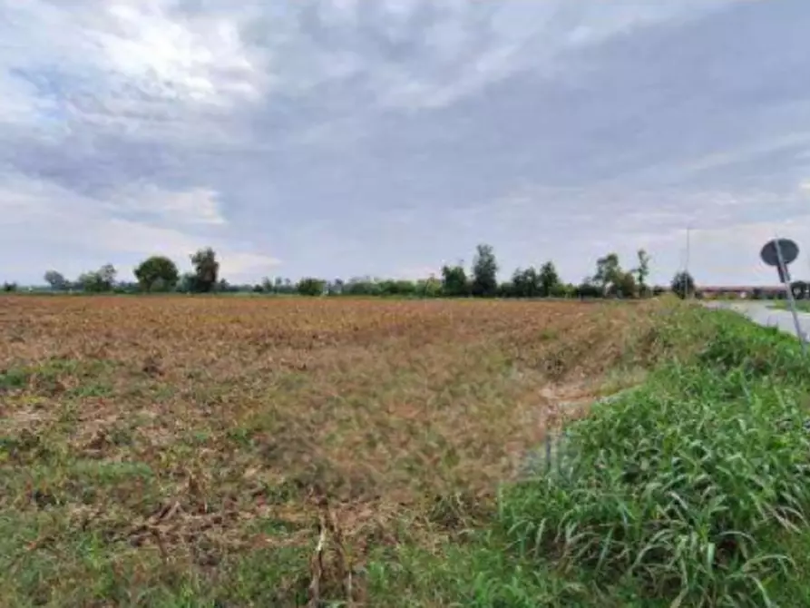 Immagine 2 di Terreno agricolo in vendita  in Strada Provinciale a Leno