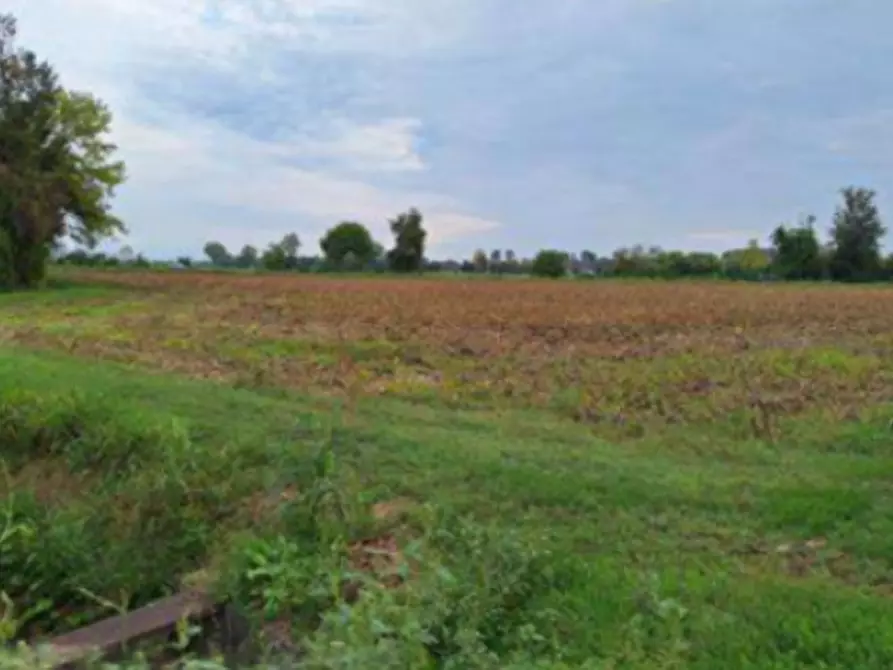 Immagine 3 di Terreno agricolo in vendita  in Strada Provinciale a Leno