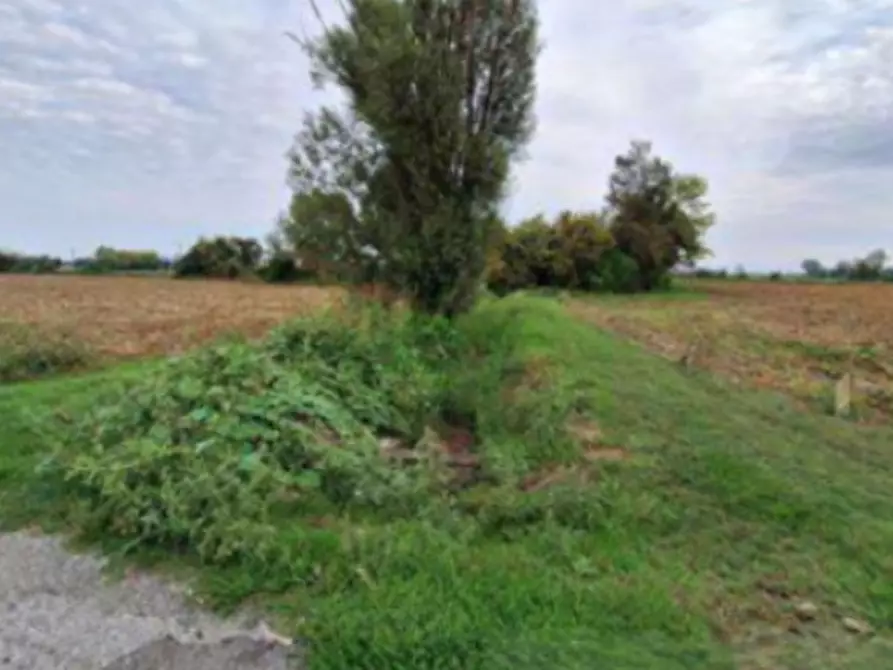 Immagine 4 di Terreno agricolo in vendita  in Strada Provinciale a Leno