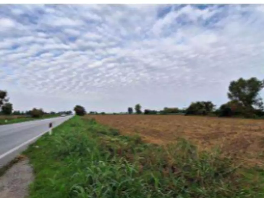 Immagine 5 di Terreno agricolo in vendita  in Strada Provinciale a Leno