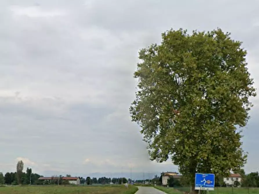 Immagine 6 di Terreno agricolo in vendita  in Strada Provinciale a Leno