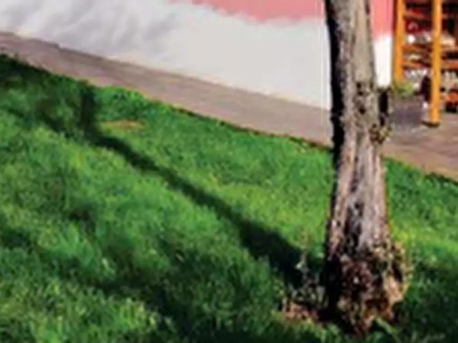 Immagine 8 di Porzione di casa in vendita  in Via Cavalletto a Sant'angelo Di Piove Di Sacco