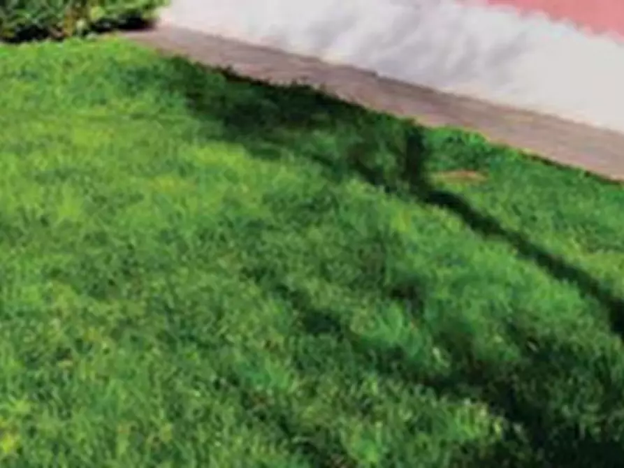 Immagine 9 di Porzione di casa in vendita  in Via Cavalletto a Sant'angelo Di Piove Di Sacco