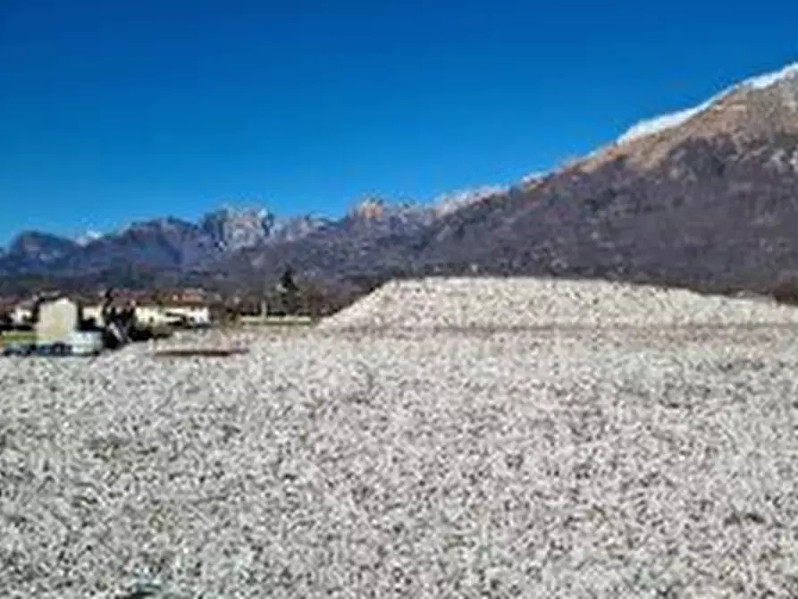 Immagine 1 di Terreno agricolo in vendita  in Località Levego a Belluno
