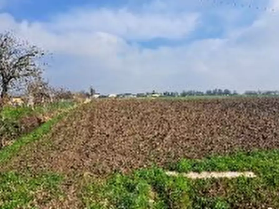 Immagine 1 di Terreno agricolo in vendita  in Via Bachelet a Brugine