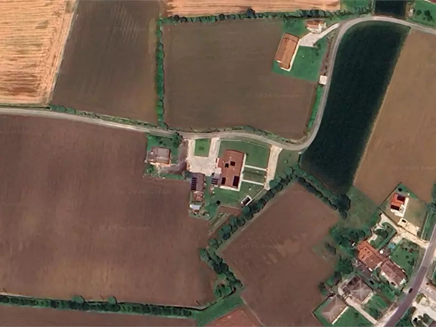 Immagine 2 di Terreno agricolo in vendita  in Via Bachelet a Brugine