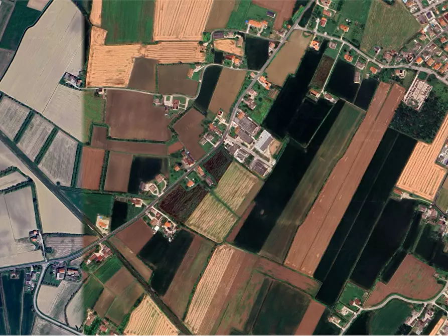 Immagine 3 di Terreno agricolo in vendita  in Via Bachelet a Brugine