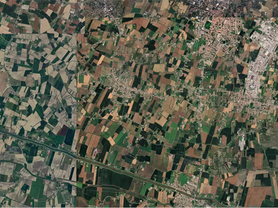 Immagine 5 di Terreno agricolo in vendita  in Via Bachelet a Brugine