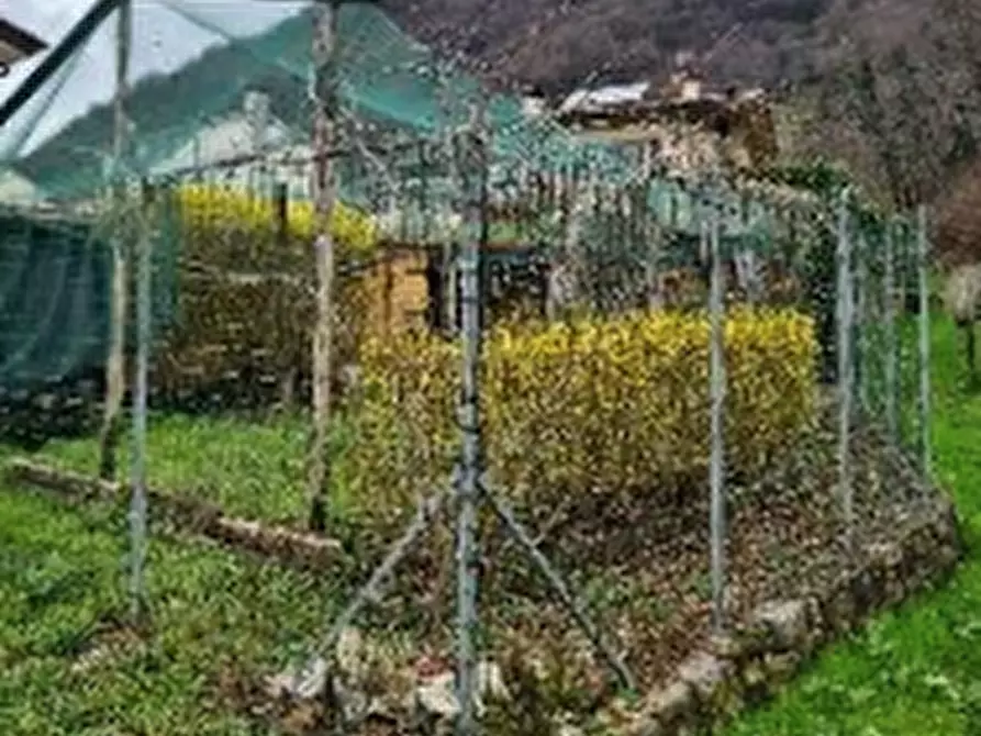 Immagine 1 di Terreno agricolo in vendita  in Via dell'Artigliere a Follina