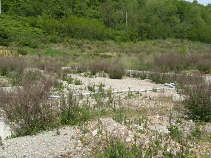 Immagine 4 di Terreno edificabile in vendita  in via Radici Nord a Castellarano