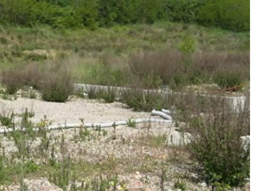 Immagine 14 di Terreno edificabile in vendita  in via Radici Nord a Castellarano