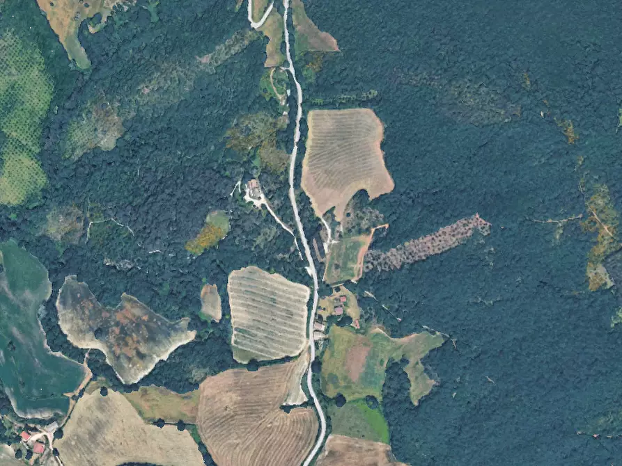 Immagine 9 di Casa indipendente in vendita  in Località Marcucci a Cingoli