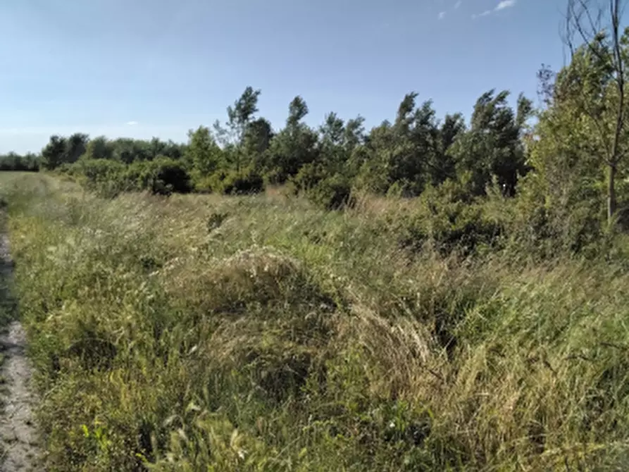 Immagine 1 di Terreno edificabile in vendita  in Via Panini a Cadelbosco Di Sopra