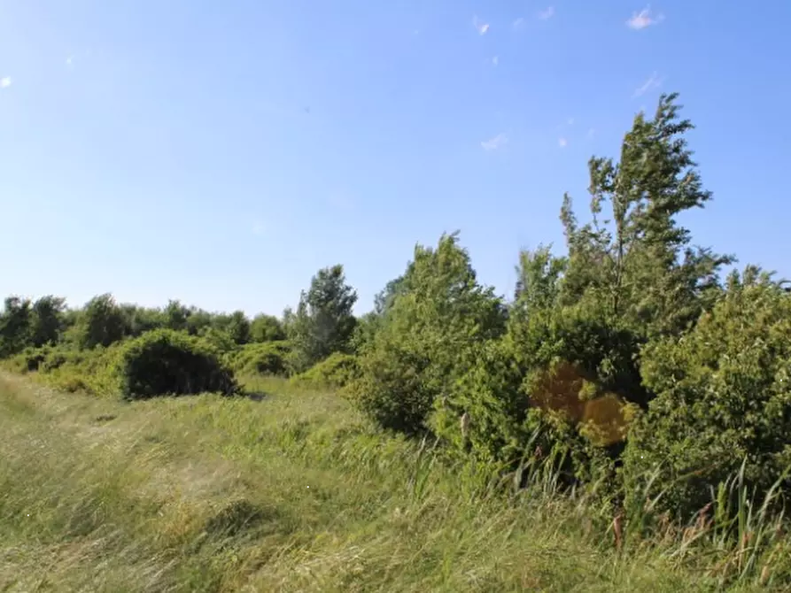 Immagine 3 di Terreno edificabile in vendita  in Via Panini a Cadelbosco Di Sopra