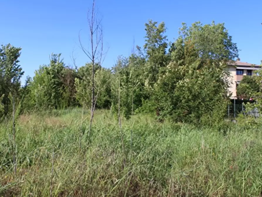 Immagine 5 di Terreno edificabile in vendita  in Via Panini a Cadelbosco Di Sopra