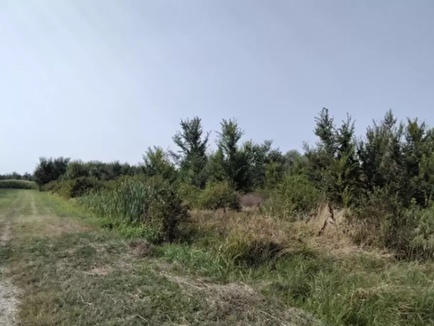 Immagine 6 di Terreno edificabile in vendita  in Via Panini a Cadelbosco Di Sopra