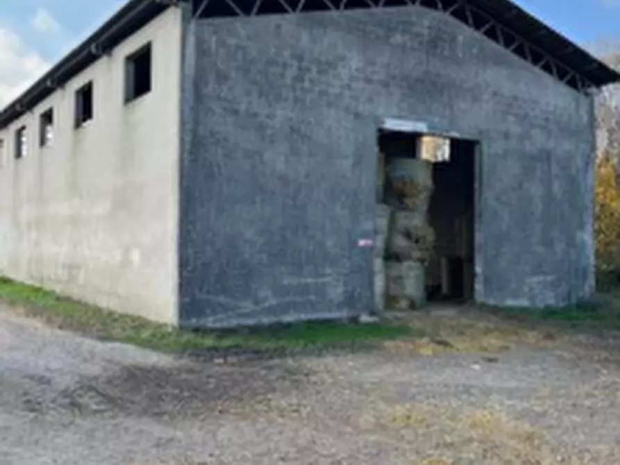 Immagine 6 di Stabile in vendita  in Via Chiusa a Sant'angelo Di Piove Di Sacco