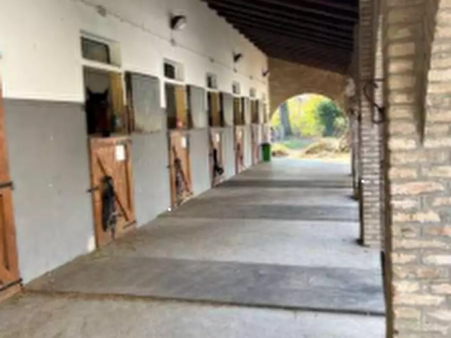 Immagine 8 di Stabile in vendita  in Via Chiusa a Sant'angelo Di Piove Di Sacco