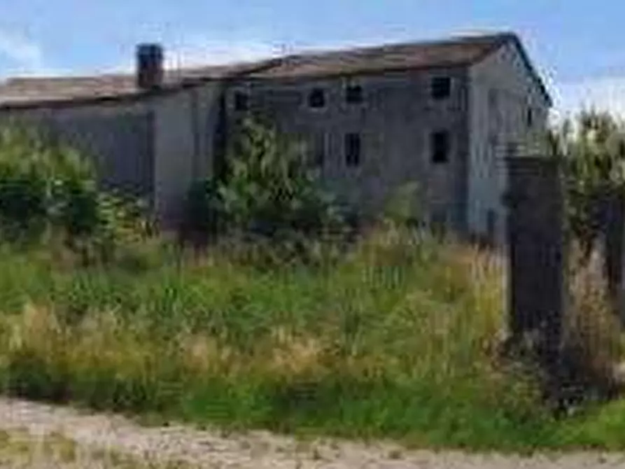 Immagine 4 di Casa indipendente in vendita  in Via Palazzetto a Albaredo D'adige