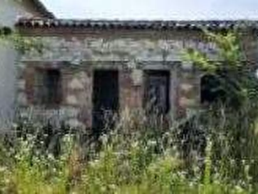 Immagine 5 di Casa indipendente in vendita  in Via Palazzetto a Albaredo D'adige