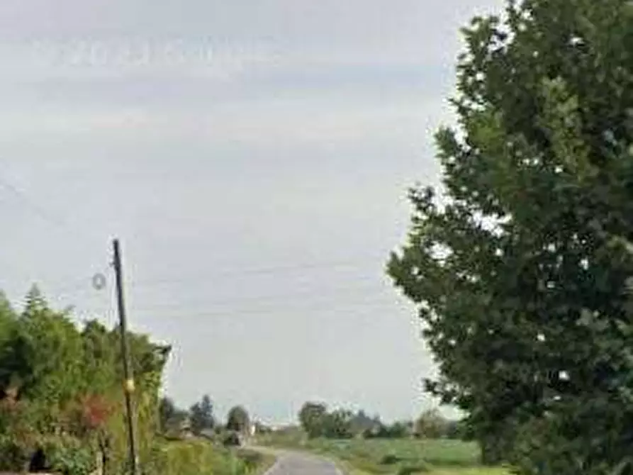 Immagine 10 di Casa indipendente in vendita  in Via Palazzetto a Albaredo D'adige