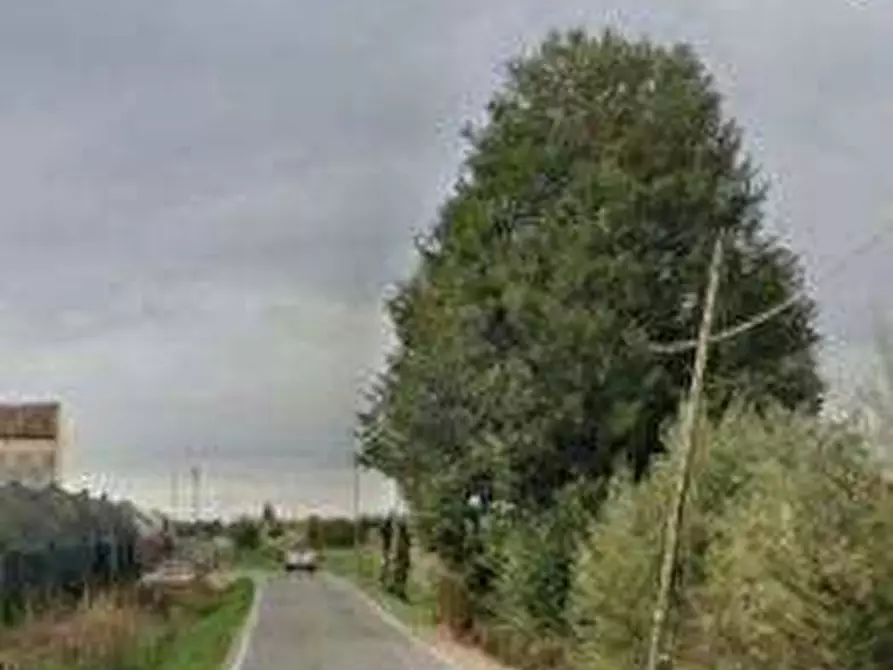 Immagine 11 di Casa indipendente in vendita  in Via Palazzetto a Albaredo D'adige