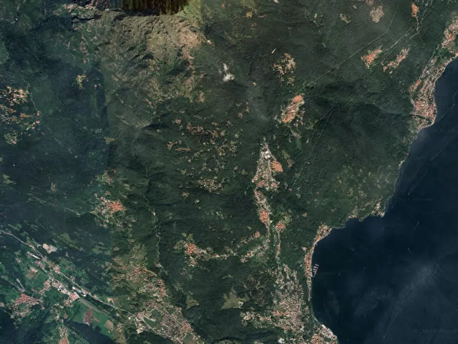 Immagine 2 di Terreno agricolo in vendita  in Località Plesio a Plesio