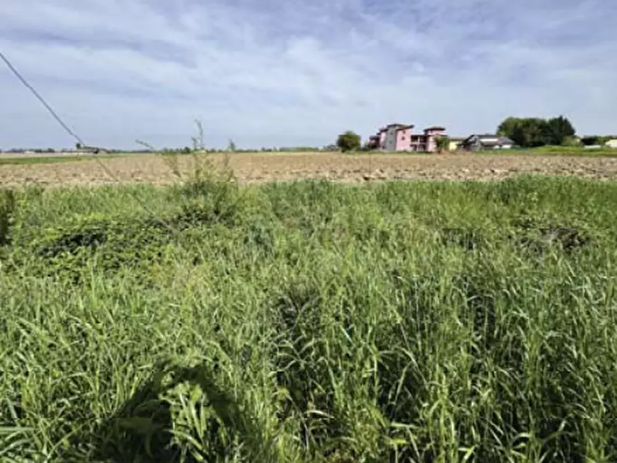 Immagine 5 di Terreno edificabile in vendita  in Via Casotti a Nogara