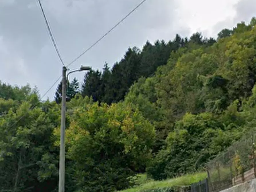 Immagine 10 di Terreno edificabile in vendita  in Via San Michele  a Valbrona