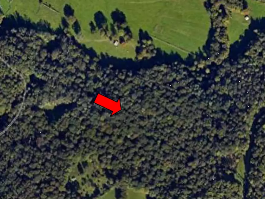 Immagine 5 di Terreno agricolo in vendita  in Località Castelmarte a Castelmarte