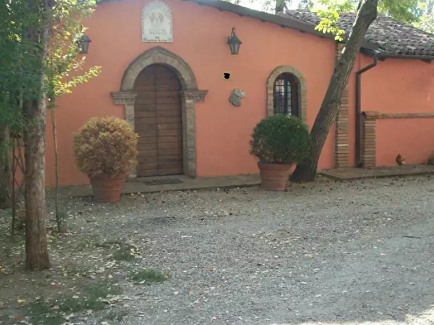 Immagine 11 di Stabile in vendita  in Via Pigno a Bagnara Di Romagna